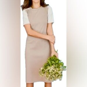 NWOT Sonnet James Quincy Color Block Raglan Sleeve Midi Dress in Cement Sz L